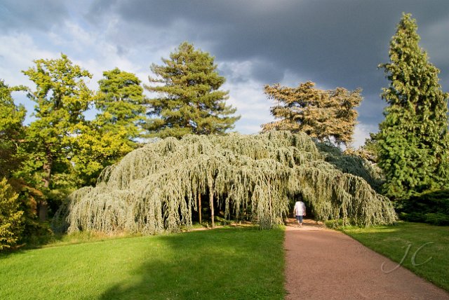 0077Arboretum Vallee aux loups.jpg - SONY DSC